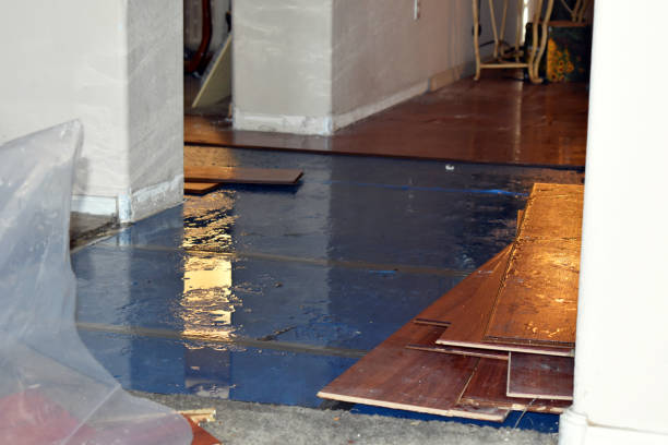 Professional Water Damage Restoration technician working in Morton, TX